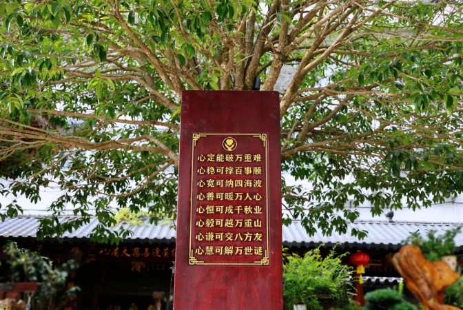 屏幕截圖 2026-03-14 111748.jpg