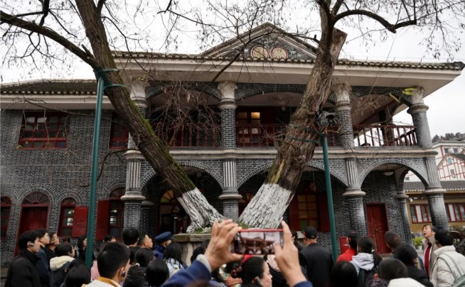屏幕截圖 2026-03-15 095532.jpg
